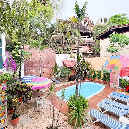 Ith Sayulita Amazing Surf Hostel-2